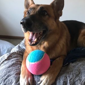 Meet your Posher, Chandra